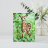 Baby Deer Fawn Bambi in het bos Briefkaart (Staand voorkant)