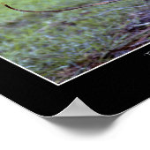 Baby Deer Fawn Photo & Poem Poster (Hoek)