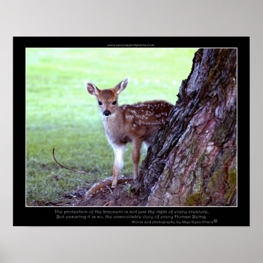 Baby Deer Fawn Photo & Poem Poster (Voorkant)
