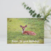 Baby Deer Fawn Relaxing Flat Birthday-kaart Kaart (Staand voorkant)