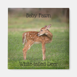 Baby Deer Fawn with White Spots Magneet