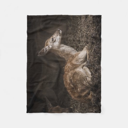 Baby Deer Fleece Deken (Voorkant)