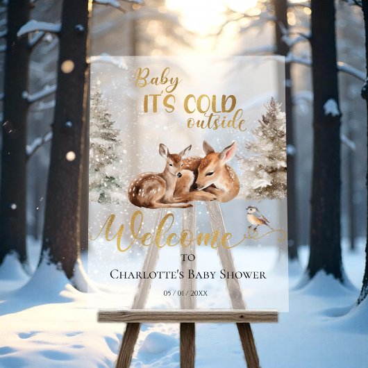 Baby Deer Forest Baby shower Welkom Acryl Teken Acryl Bord