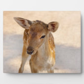 Baby Deer Fotoplaat (Voorkant)