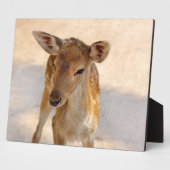 Baby Deer Fotoplaat (Zijkant)