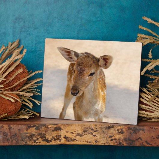 Baby Deer Fotoplaat (Zijkant)