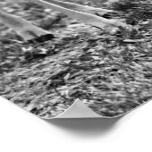 Baby Deer Grazing Fotografische kunst Print (Hoek)