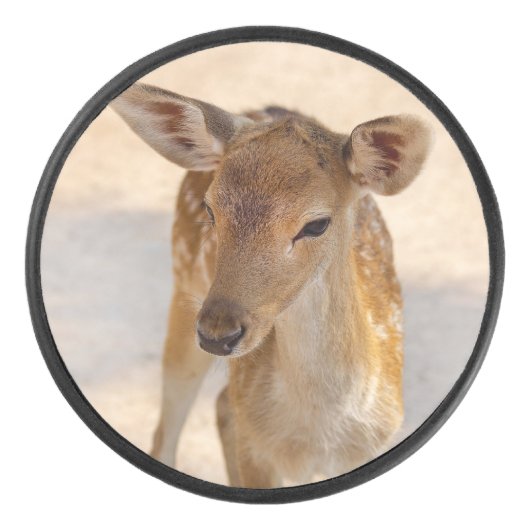 Baby Deer Hockey Puck (Voorkant)