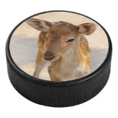 Baby Deer Hockey Puck (3/4)