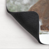 Baby Deer in de wintermunt Muismat (Hoek)