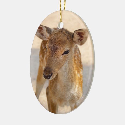 Baby Deer Keramisch Ornament (Links)