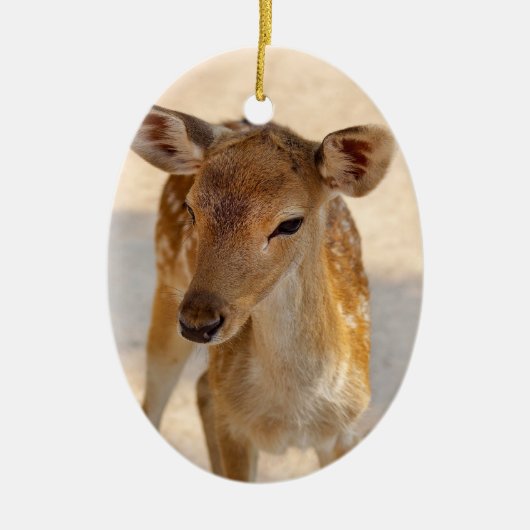 Baby Deer Keramisch Ornament (Voorkant)