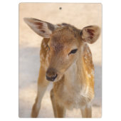 Baby Deer Klembord (Achterkant)