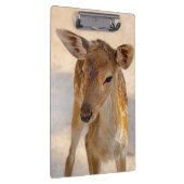 Baby Deer Klembord (Rechts)