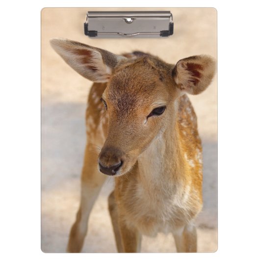 Baby Deer Klembord (Voorkant)