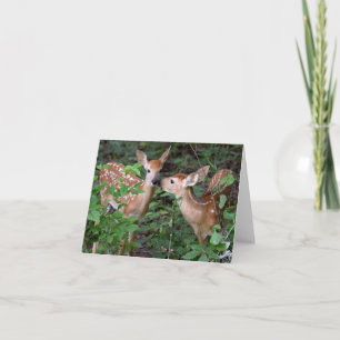 Baby Deer Love en Friendship Wenskaart Kaart