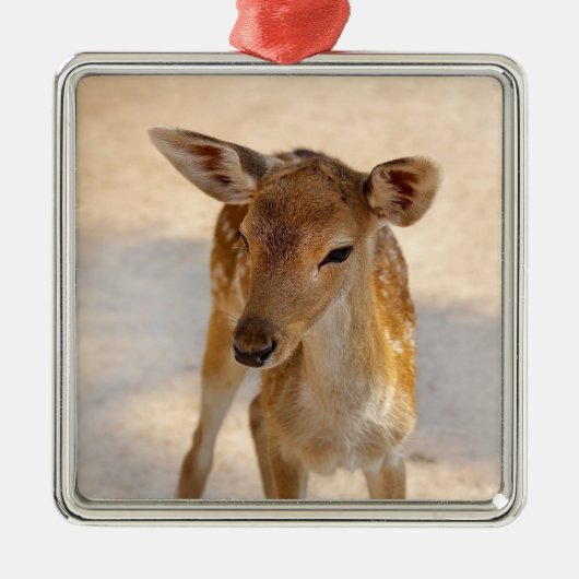 Baby Deer Metalen Ornament (Voorkant)