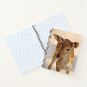 Baby Deer Notitieboek (Binnen)