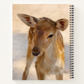 Baby Deer Notitieboek (Achterkant)