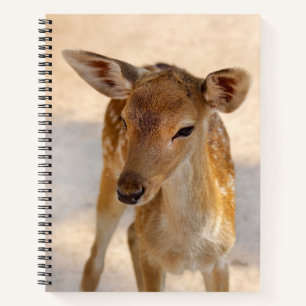 Baby Deer Notitieboek