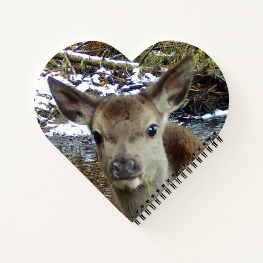 Baby Deer Notitieboek (Achterkant)