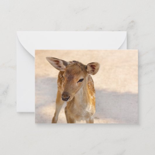 Baby Deer Notitiekaartje (Voorkant)