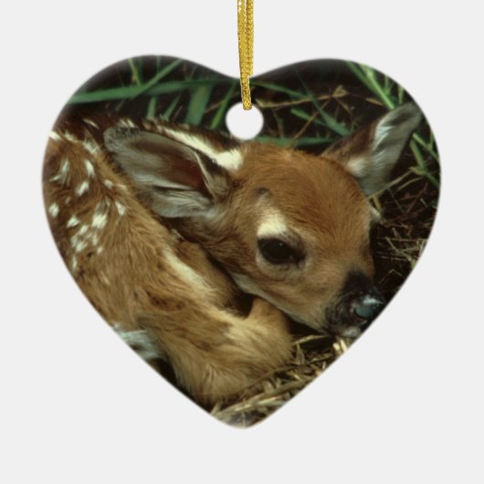 Baby Deer Ornament (Voorkant)
