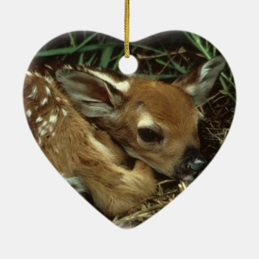 Baby Deer Ornament (Achterkant)