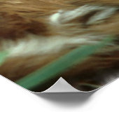 Baby Deer Poster (Hoek)