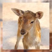 Baby Deer Raamsticker (Vel 2)