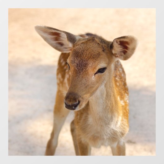 Baby Deer Raamsticker (Vel)