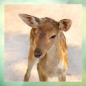 Baby Deer Raamsticker (Vel 3)