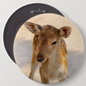 Baby Deer Ronde Button 6,0 Cm (Voorkant /achterkant)