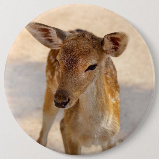 Baby Deer Ronde Button 6,0 Cm (Voorkant)