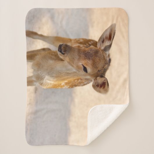 Baby Deer Sherpa Deken (Voorkant)