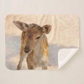 Baby Deer Sherpa Deken (Voorkant (horizontaal))