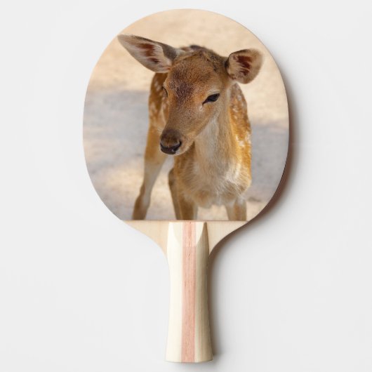 Baby Deer Tafeltennisbatje (Voorkant)