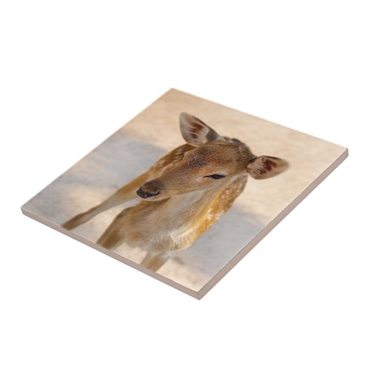 Baby Deer Tegeltje (Zijkant)