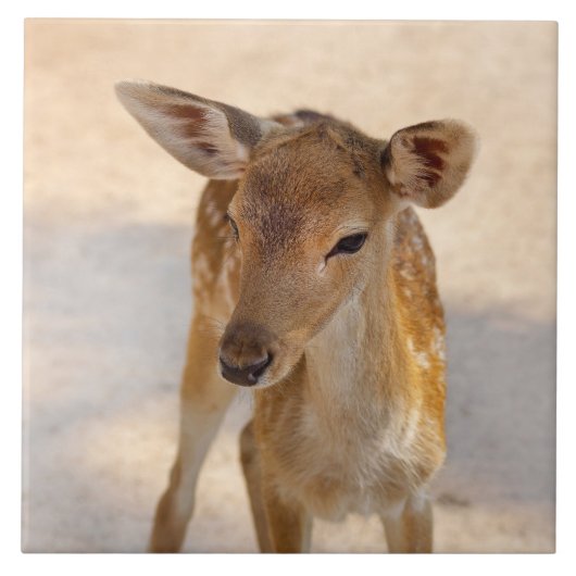 Baby Deer Tegeltje (Voorkant)