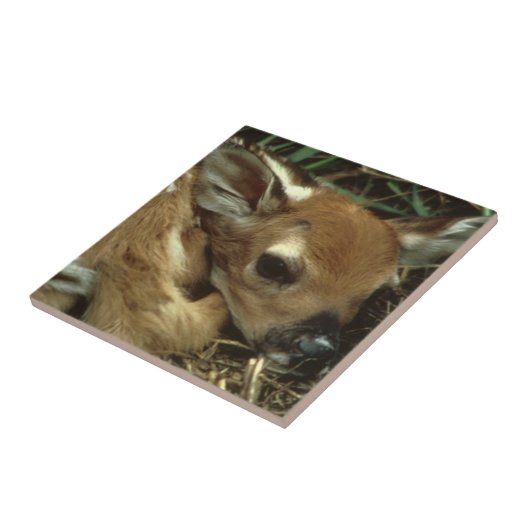 Baby Deer Tile Tegeltje (Zijkant)