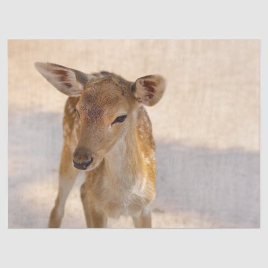 Baby Deer Tissuepapier (Voorkant)