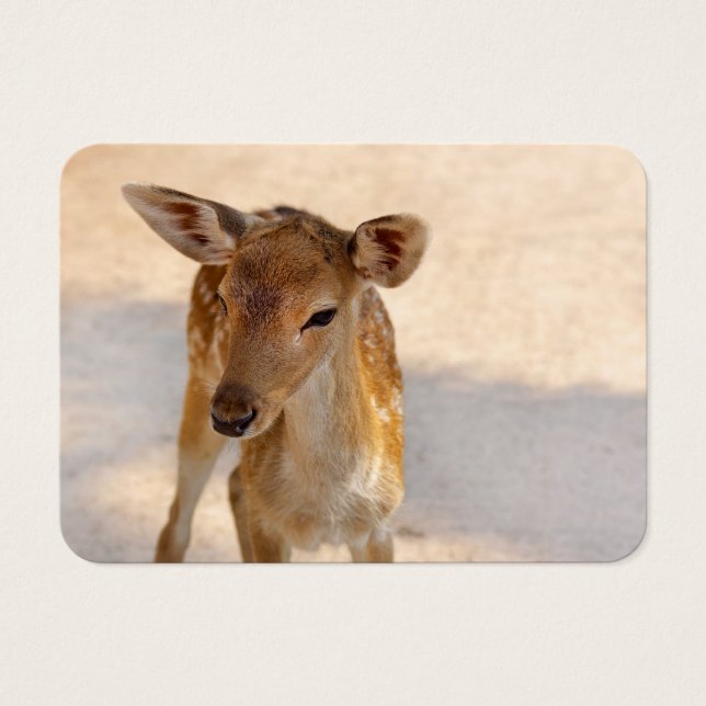 Baby Deer Visitekaartje (Voorkant)