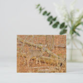 Baby Deer's eerste winter Briefkaart (Staand voorkant)