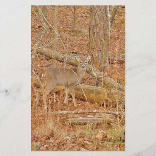 Baby Deer's eerste winter Briefpapier (Voorkant)