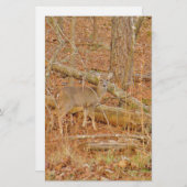 Baby Deer's eerste winter Briefpapier (Voorkant / Achterkant)