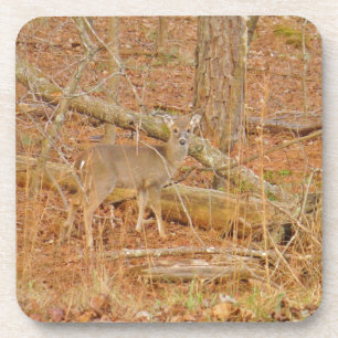 Baby Deer's eerste winter Drankjes Onderzetter