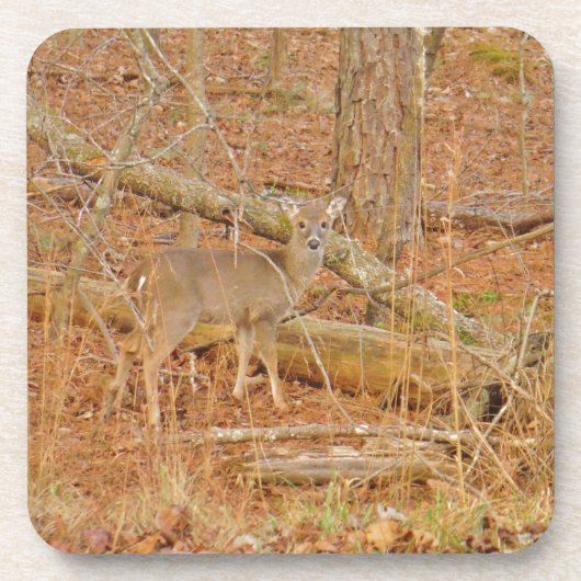 Baby Deer's eerste winter Drankjes Onderzetter (Voorkant)
