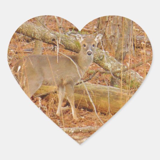 Baby Deer's eerste winter Hart Sticker (Voorkant)