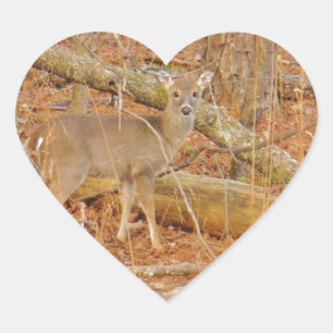 Baby Deer's eerste winter Hart Sticker