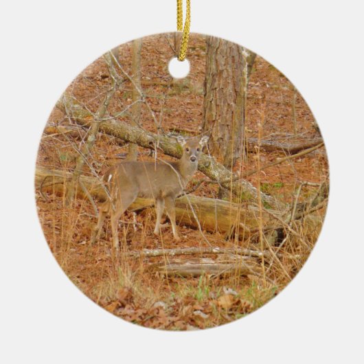 Baby Deer's eerste winter Keramisch Ornament (Voorkant)